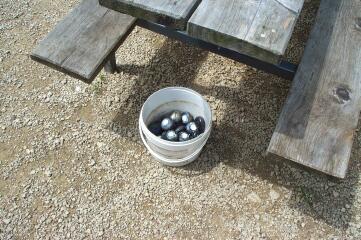 boelchen_20040620_03.JPG, 27 KB