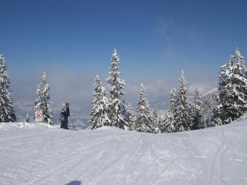 kitz2006_006.jpg, 14 KB