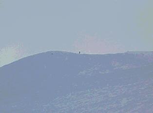 Marcel auf dem Board