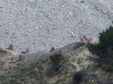 IMG_0110a.JPG, 35 KB