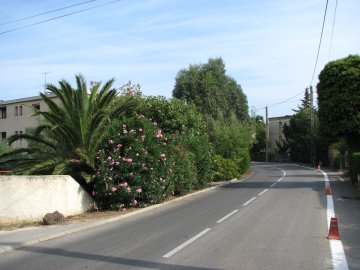 Weg zu unserem Ferienhaus