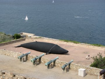 Ein toter Wal - auch eine Form von Kunst...