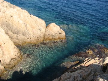 Beim Cap Camarat kann man auch gut tauchen. Das Wasser ist erstaunlich klar!