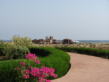 Riesiger Aufwand f&uuml;r etwas Gr&uuml;n