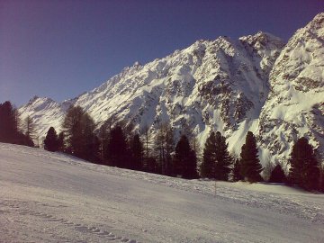 Schnee hatte es auch genug