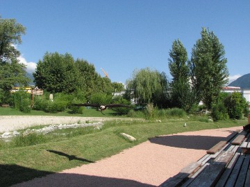 Der Steinadler im Flug